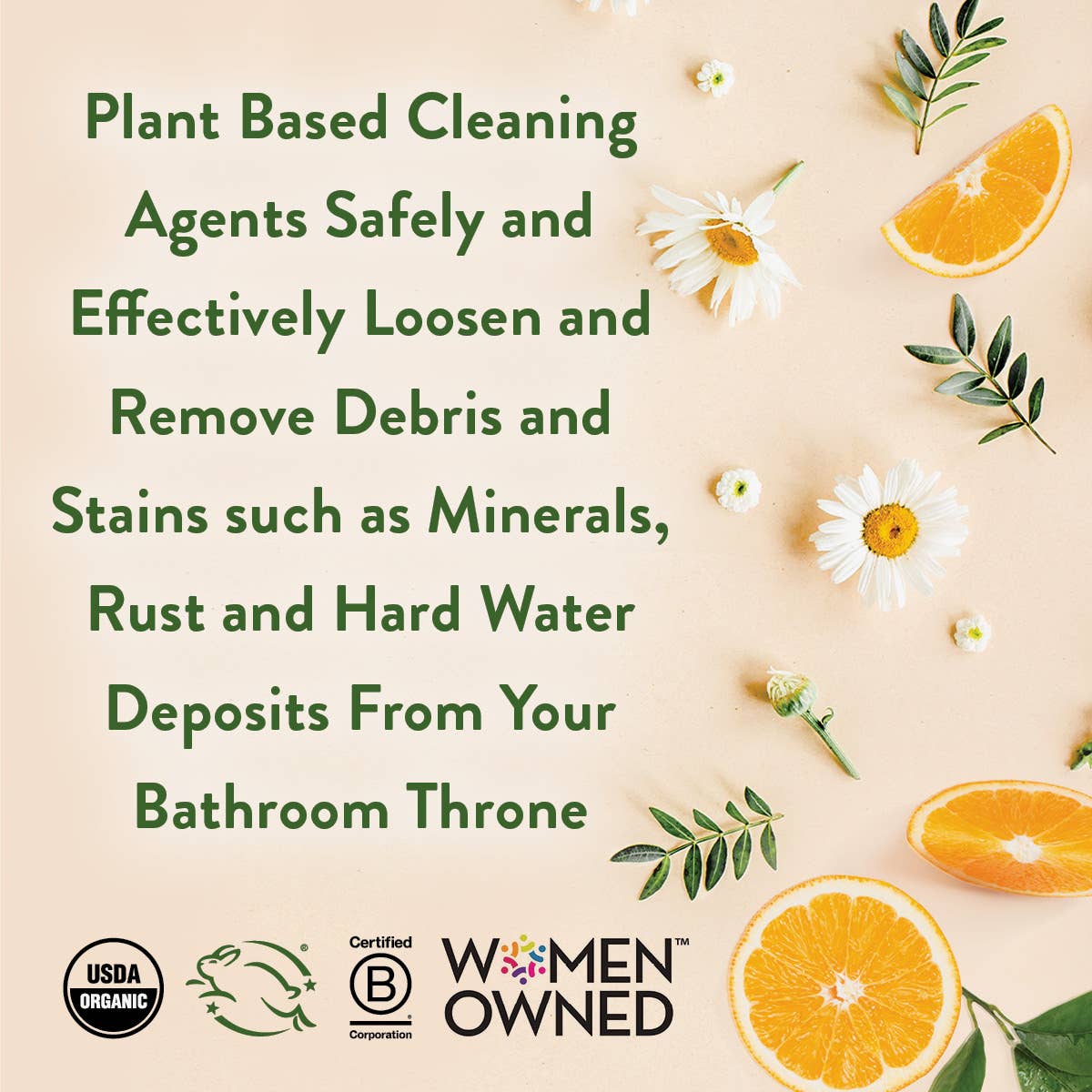 Toilet Bowl Cleaner 24oz (unit)